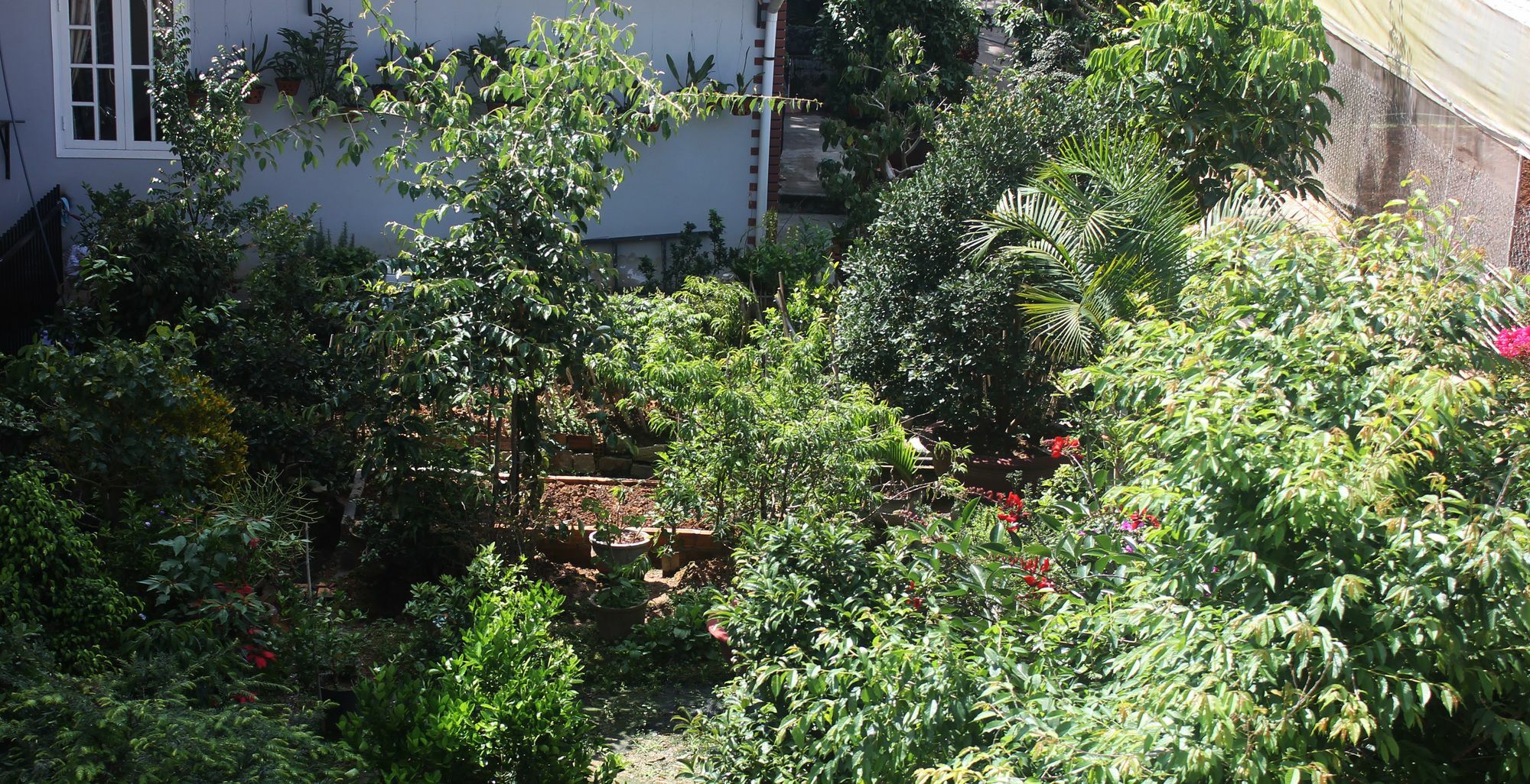 Tree House Hostel Dalat Exteriör bild